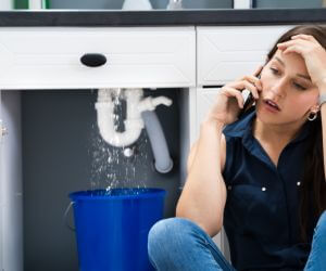 About Emergency plumbing pros Quail, TX